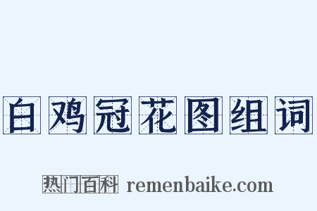 白鸡冠花图组词是什么意思的图片